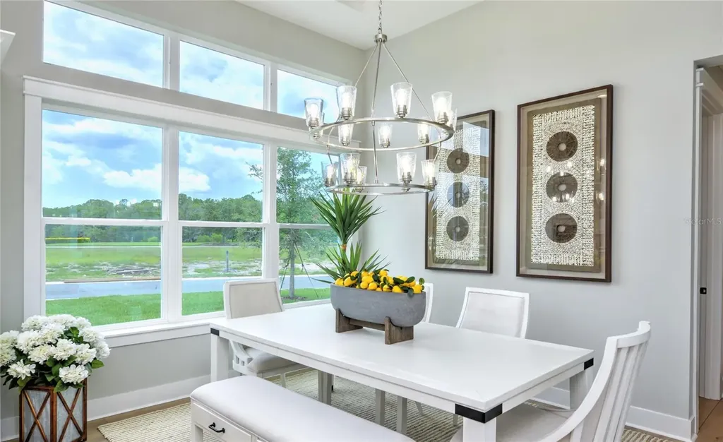 16884 Full Sun Alley Land O Lakes FL 34638