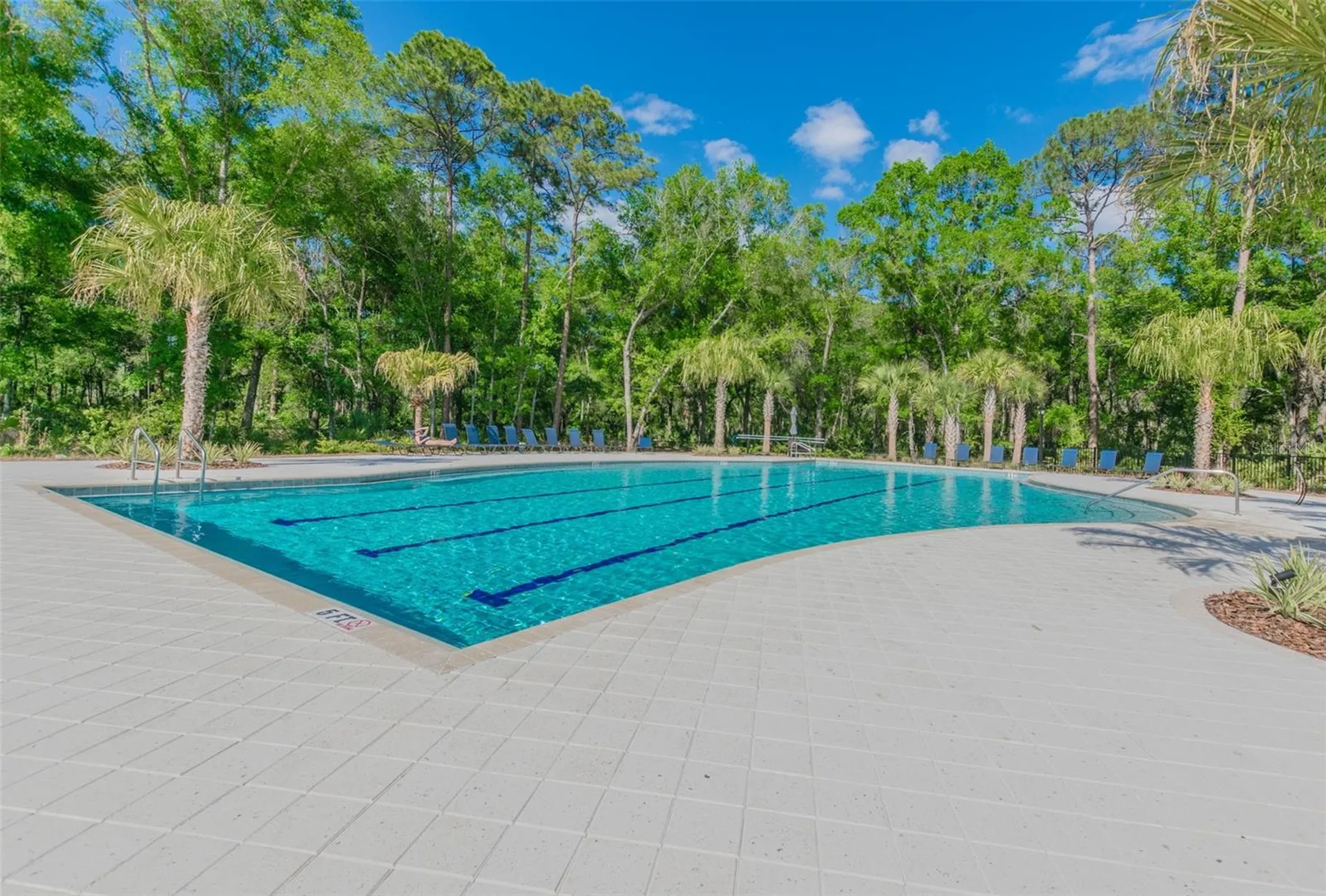 16884 Full Sun Alley Land O Lakes FL 34638