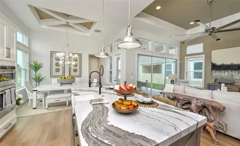16884 Full Sun Alley Land O Lakes FL 34638
