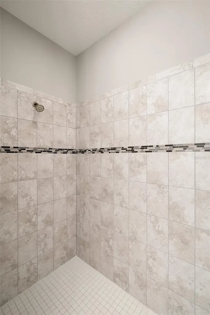 16049 Sonoma Grove Circle Tampa FL 33647
