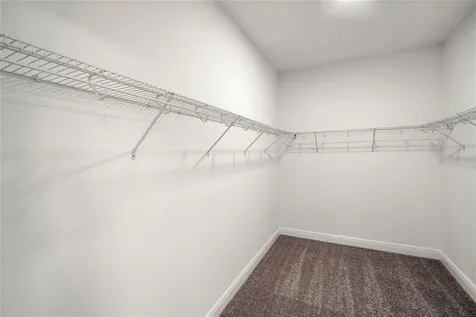 16049 Sonoma Grove Circle Tampa FL 33647