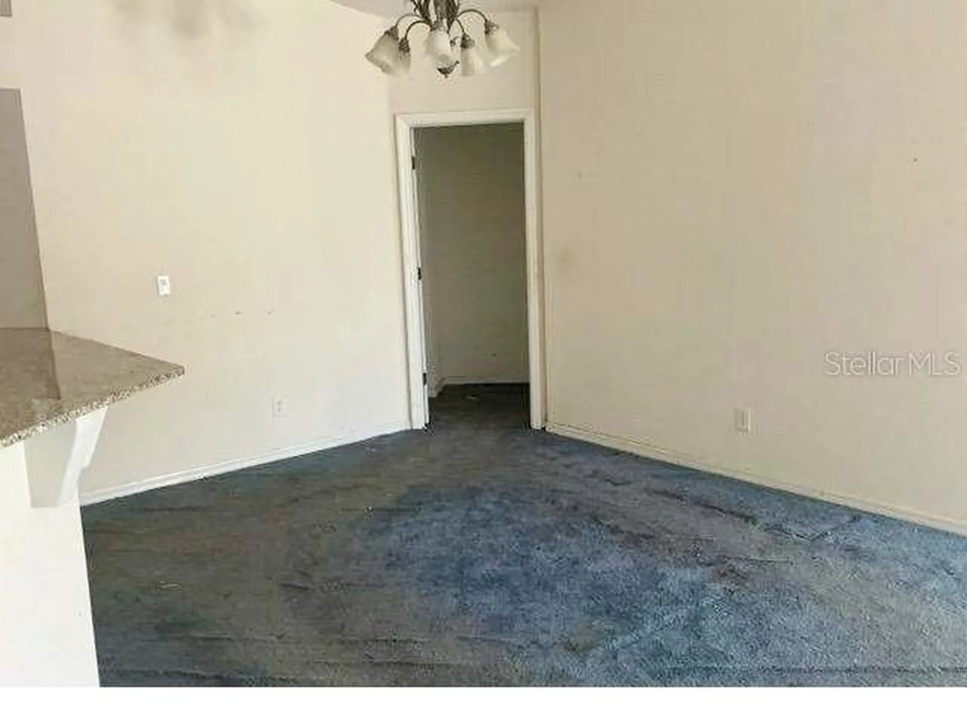 11308 Marion Lake Court Riverview FL 33569