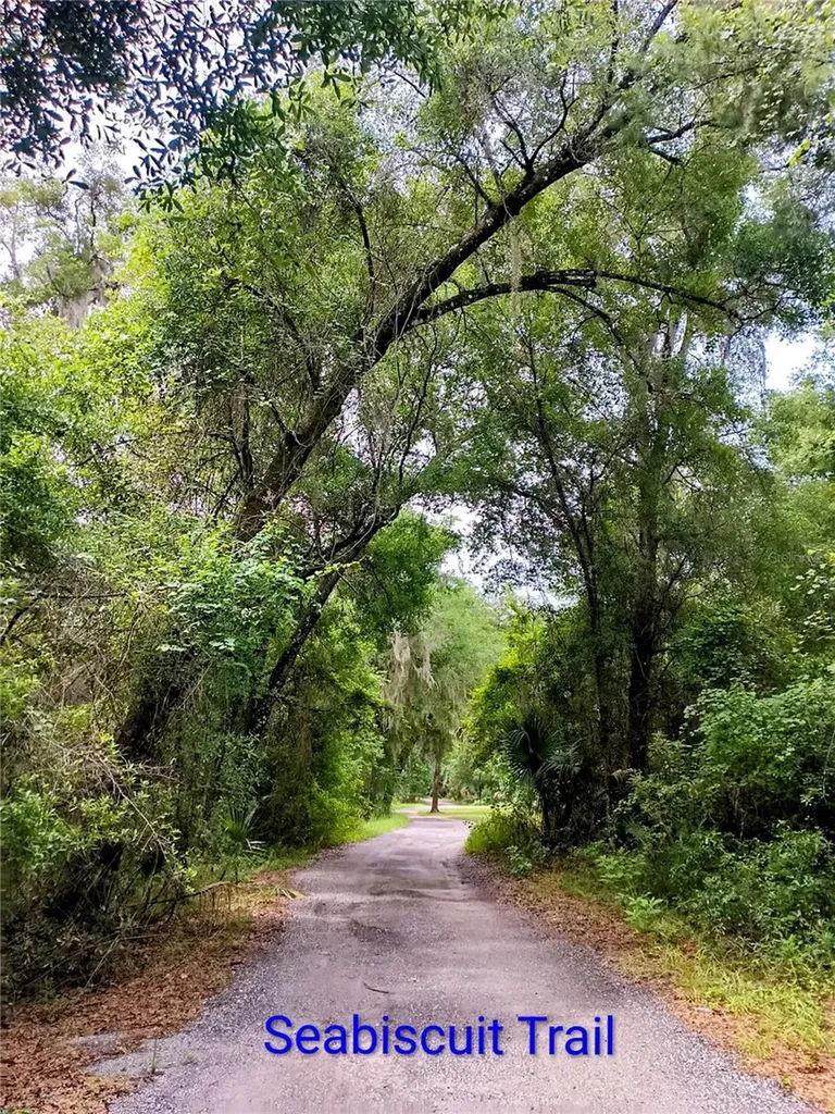 Seabiscuit Trail Deland FL 32720