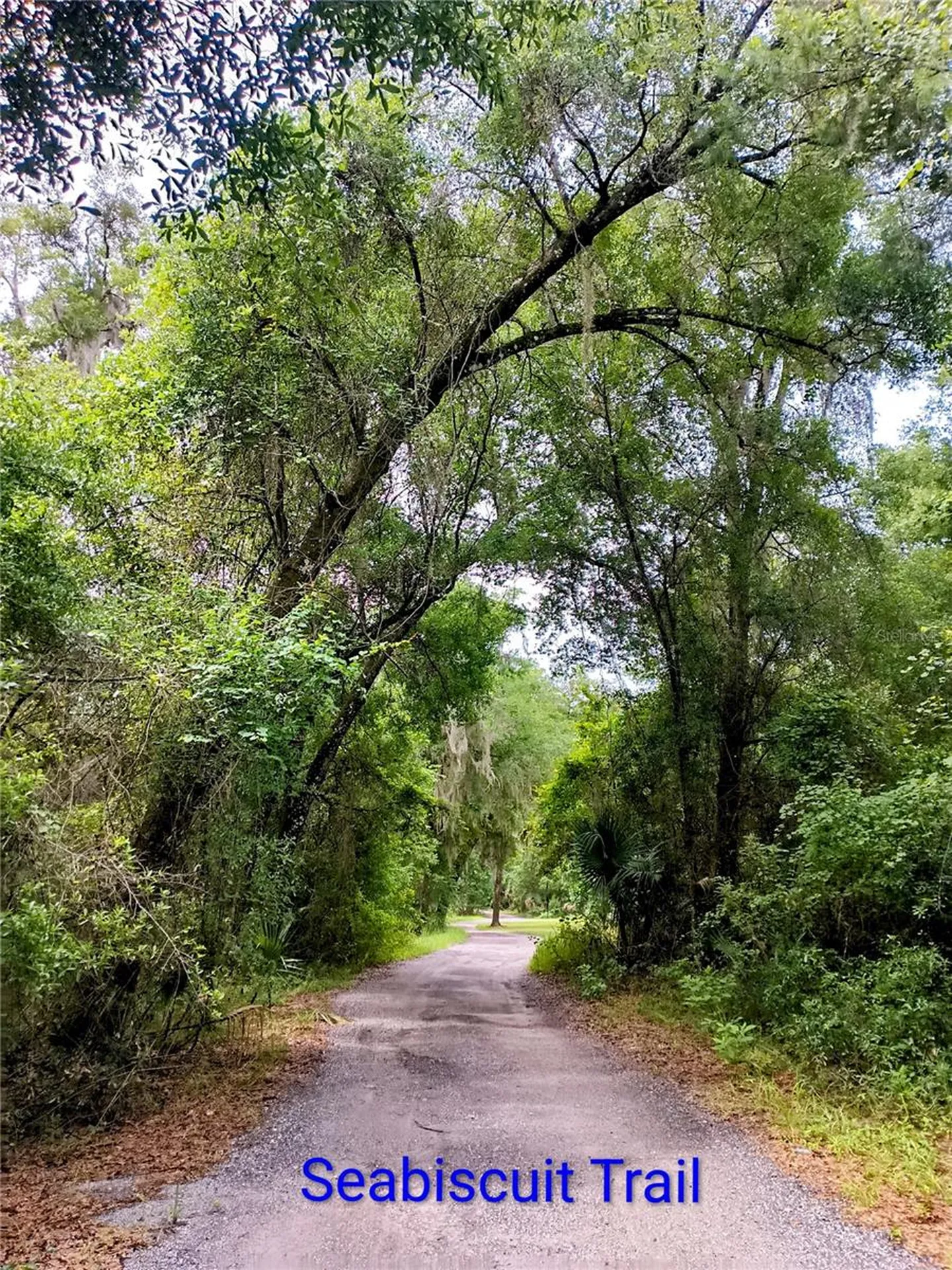 Seabiscuit Trail Deland FL 32720