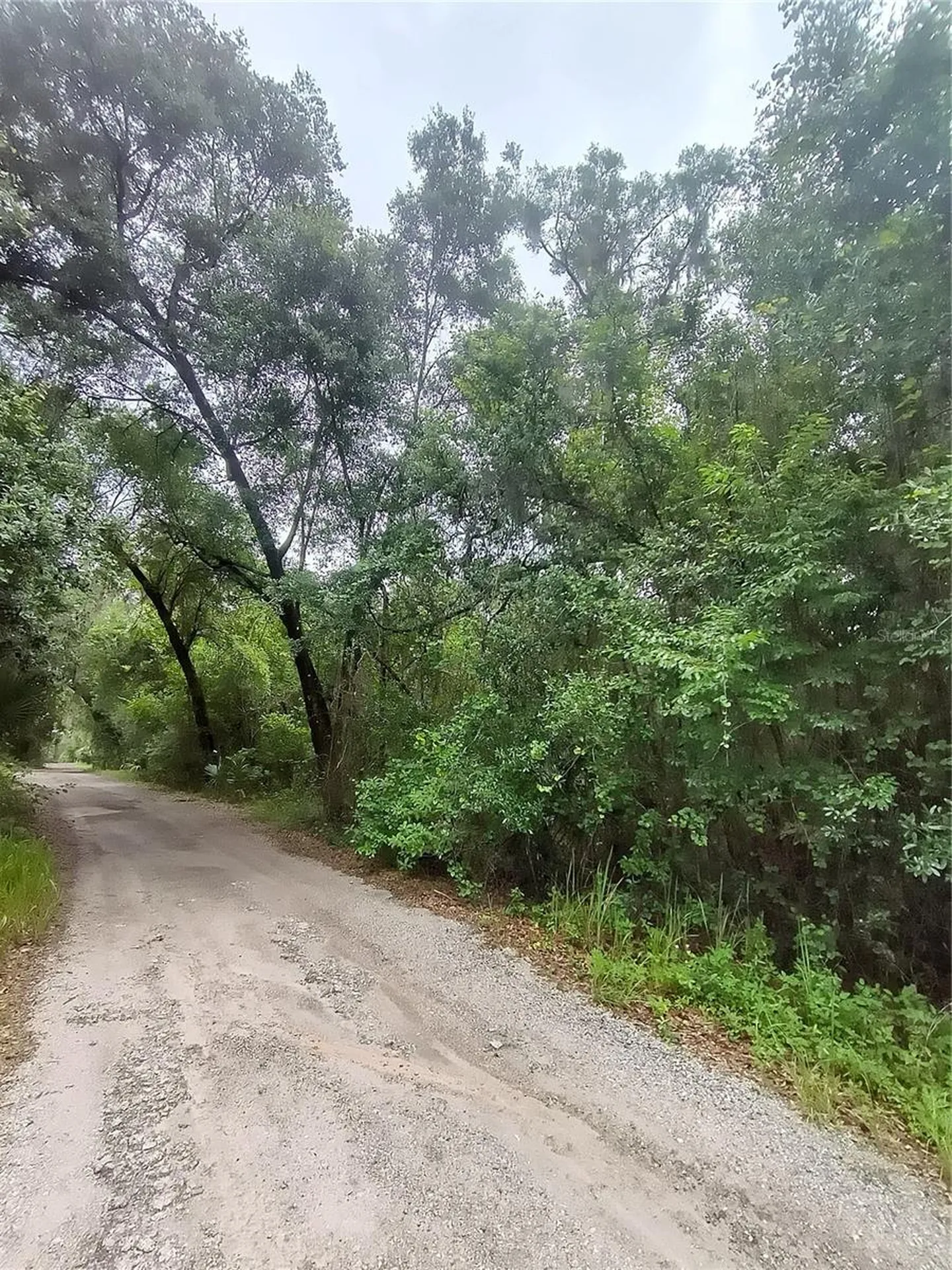 Seabiscuit Trail Deland FL 32720