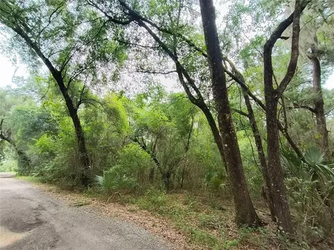 Seabiscuit Trail Deland FL 32720