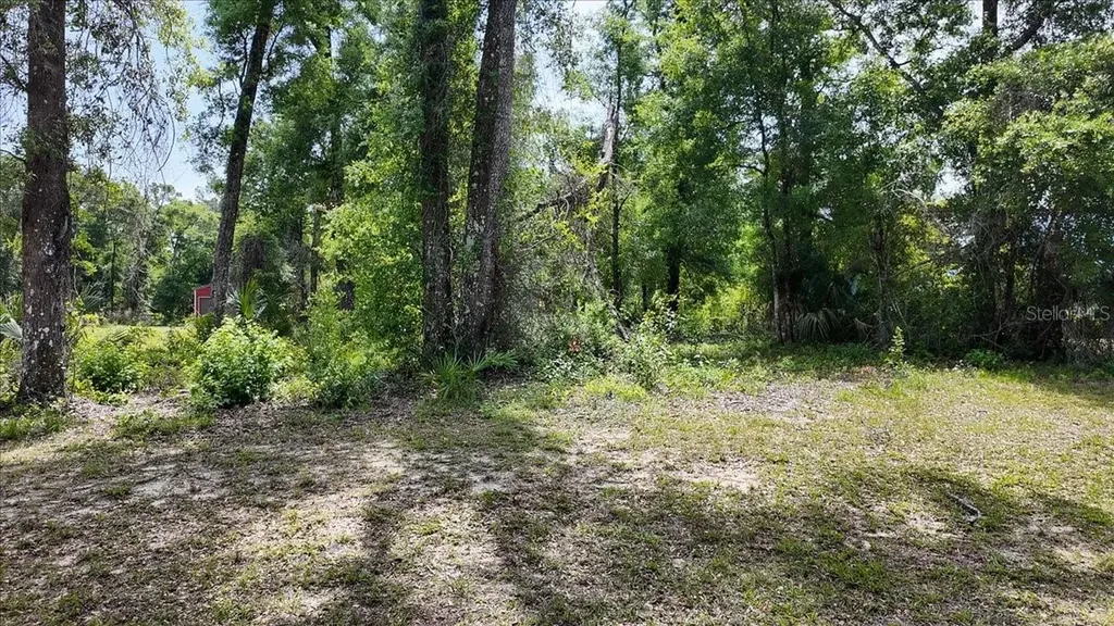 Katherine Way Fanning Springs FL 32693