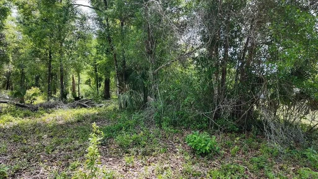 Katherine Way Fanning Springs FL 32693