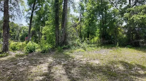 Katherine Way Fanning Springs FL 32693