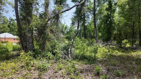 Katherine Way Fanning Springs FL 32693