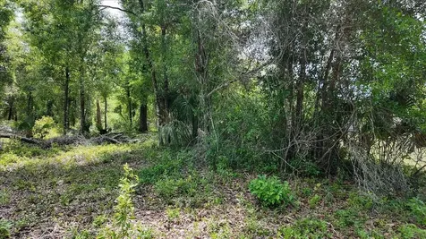 Katherine Way Fanning Springs FL 32693