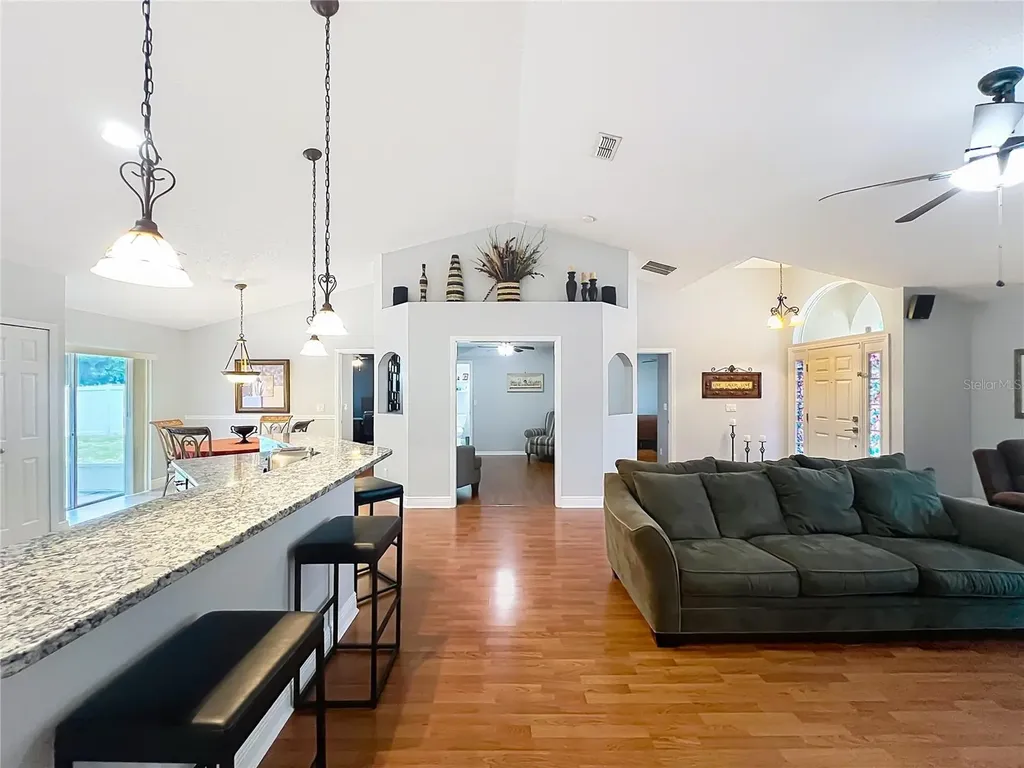 1123 Lakeview Oaks Drive Minneola FL 34715