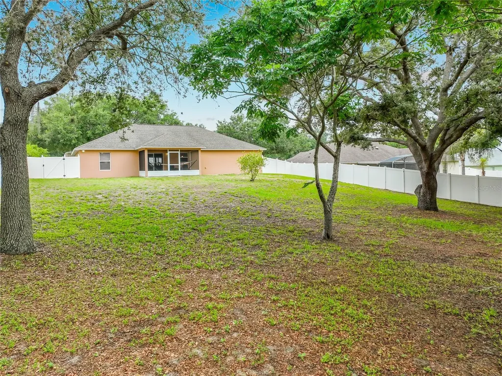 1123 Lakeview Oaks Drive Minneola FL 34715