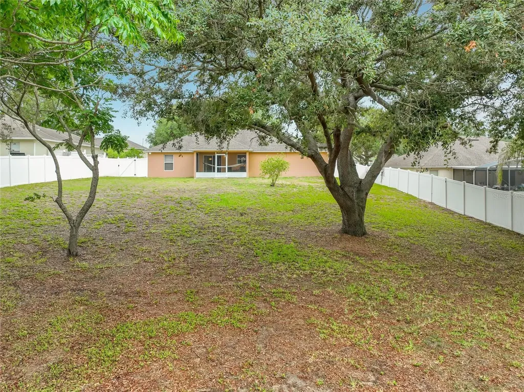 1123 Lakeview Oaks Drive Minneola FL 34715