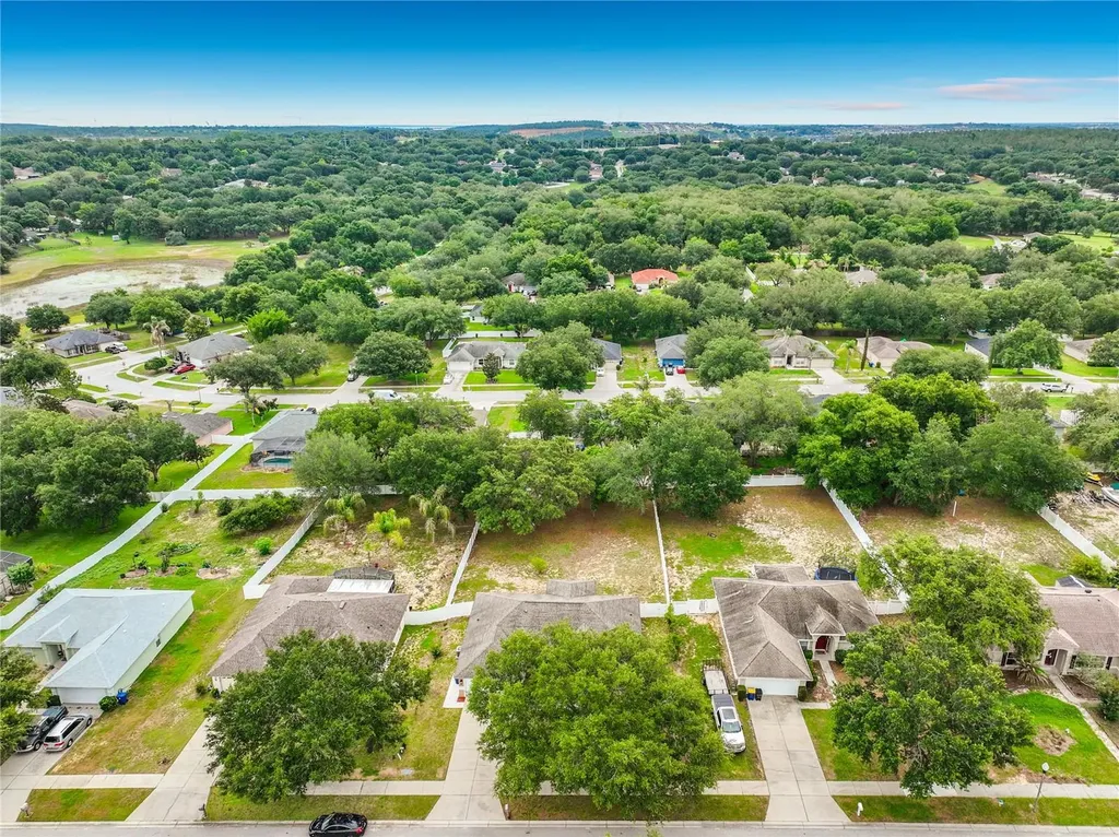 1123 Lakeview Oaks Drive Minneola FL 34715
