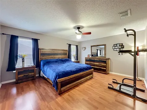 1123 Lakeview Oaks Drive Minneola FL 34715
