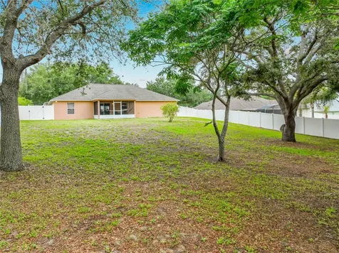 1123 Lakeview Oaks Drive Minneola FL 34715