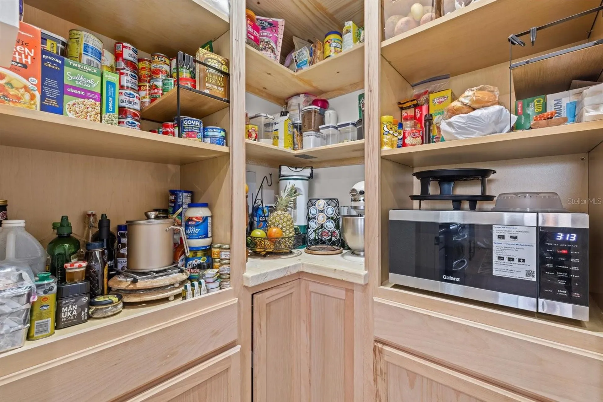 3613 Mossy Limb Court Palmetto FL 34221
