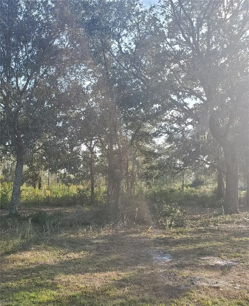 715 Indian Lake Drive Indian Lake Estates FL 33855