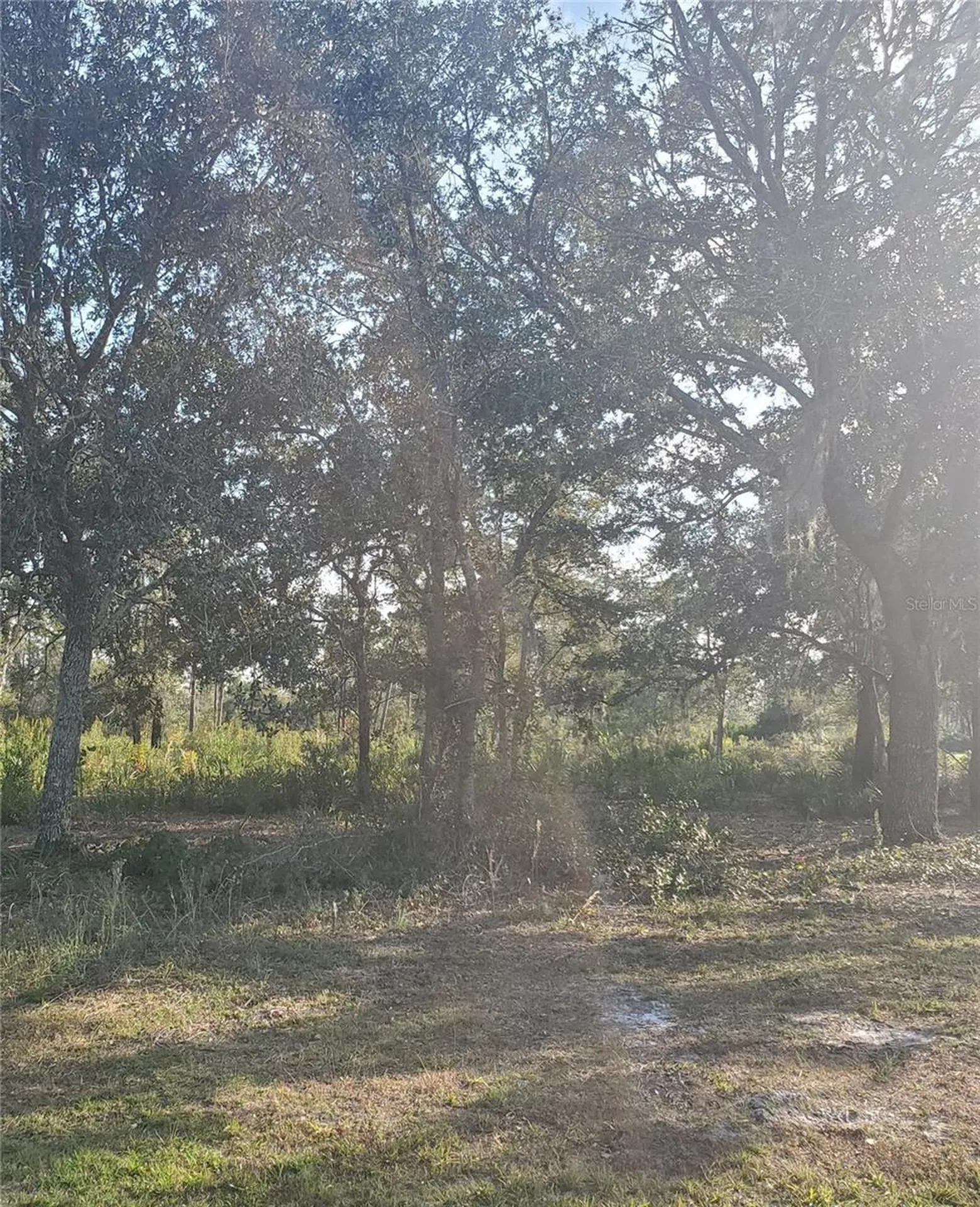 715 Indian Lake Drive Indian Lake Estates FL 33855