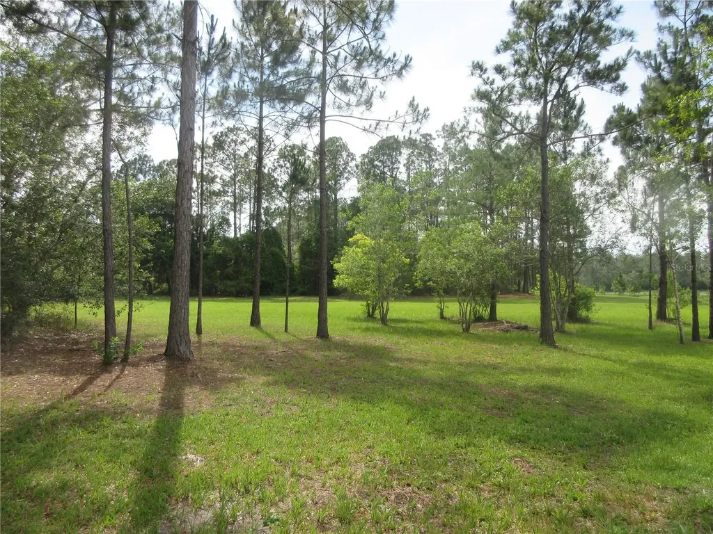 0 SE 10th Street Silver Springs FL 34488