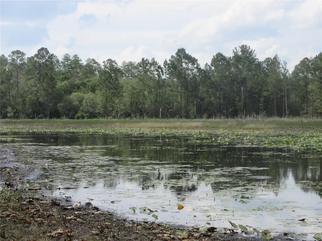 0 SE 10th Street Silver Springs FL 34488