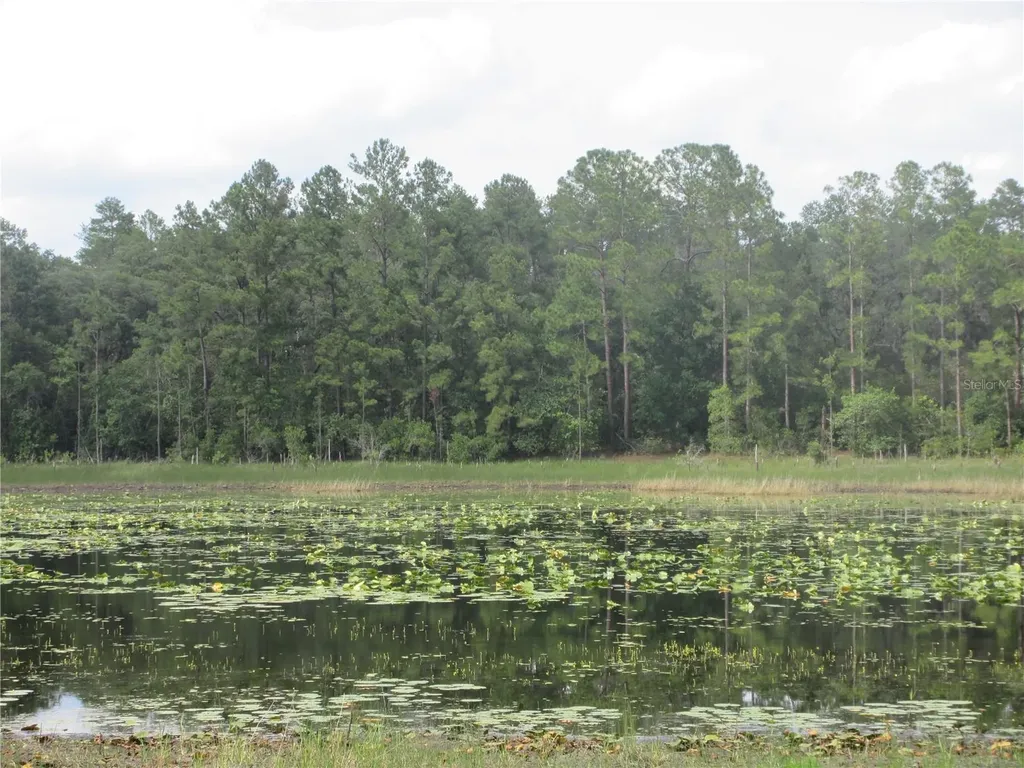 0 SE 10th Street Silver Springs FL 34488