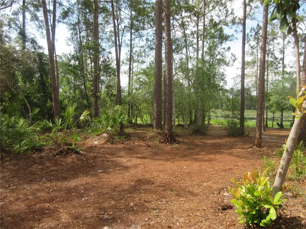 0 SE 10th Street Silver Springs FL 34488