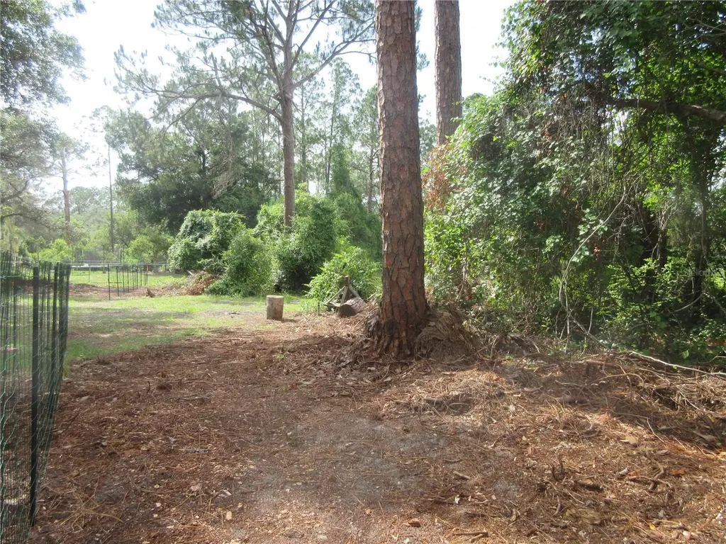 0 SE 10th Street Silver Springs FL 34488
