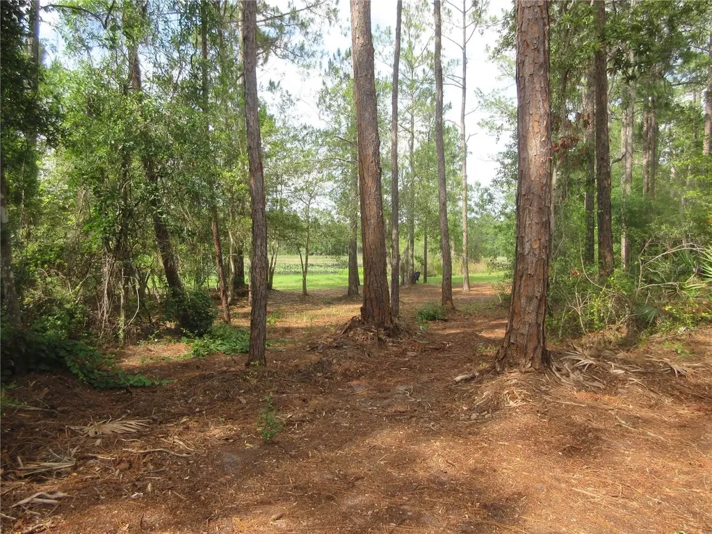 0 SE 10th Street Silver Springs FL 34488