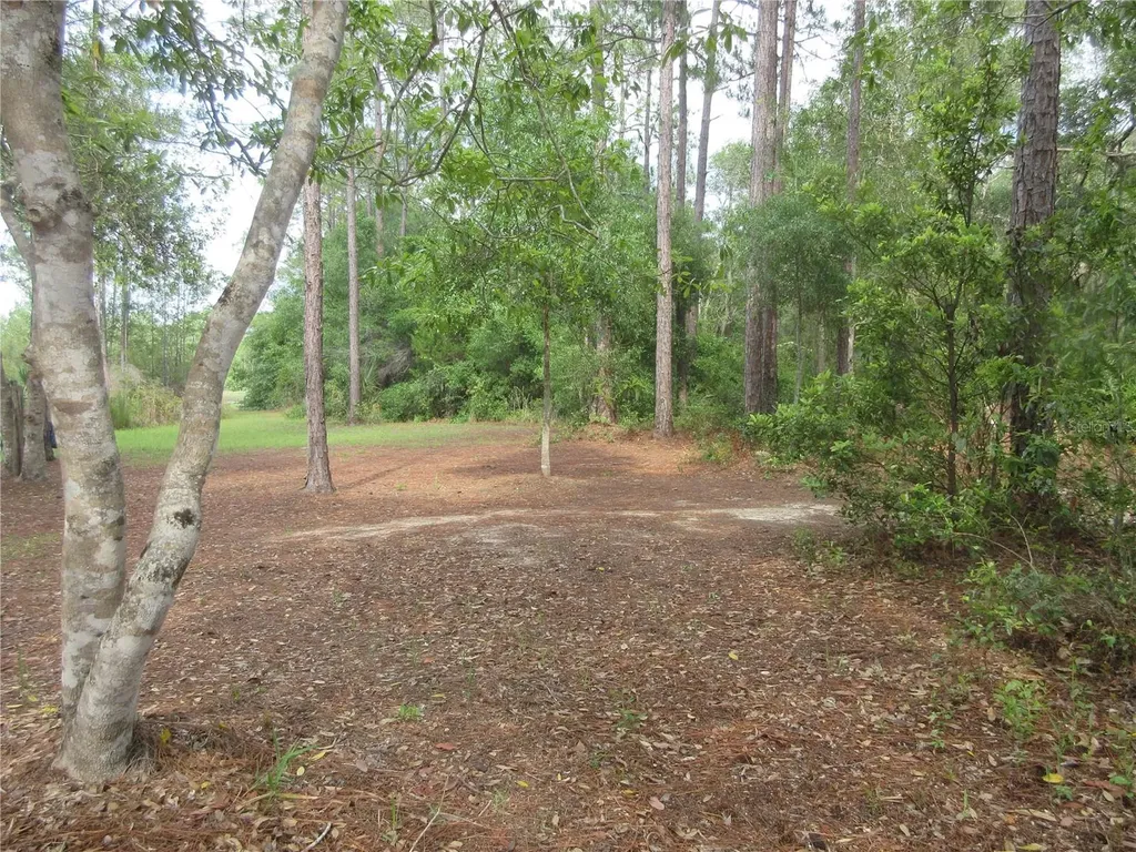 0 SE 10th Street Silver Springs FL 34488