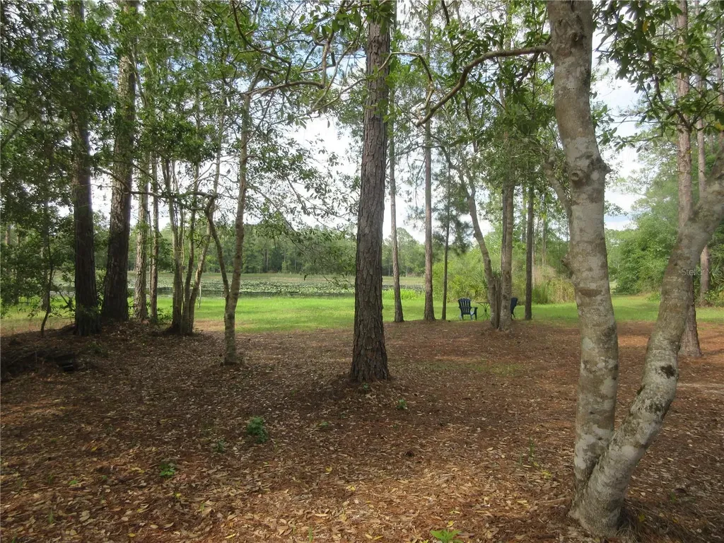 0 SE 10th Street Silver Springs FL 34488