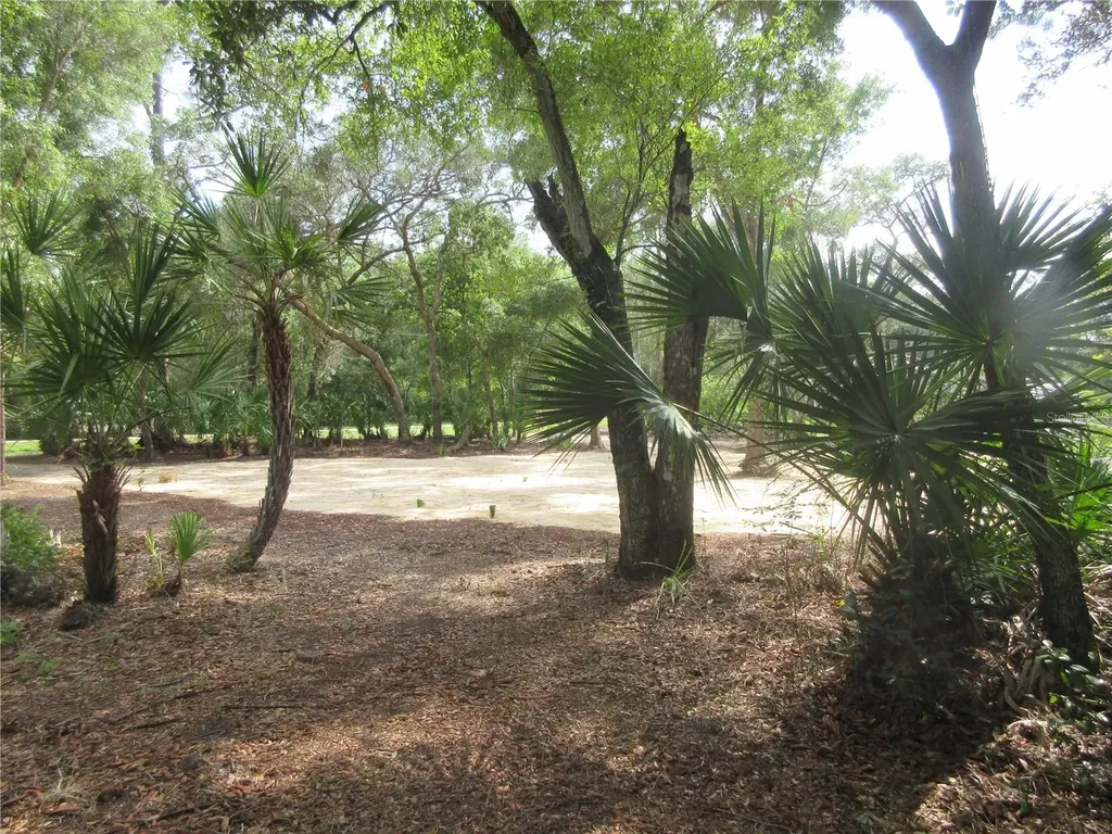 0 SE 10th Street Silver Springs FL 34488