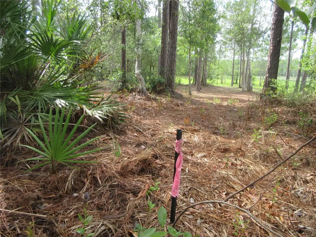 0 SE 10th Street Silver Springs FL 34488