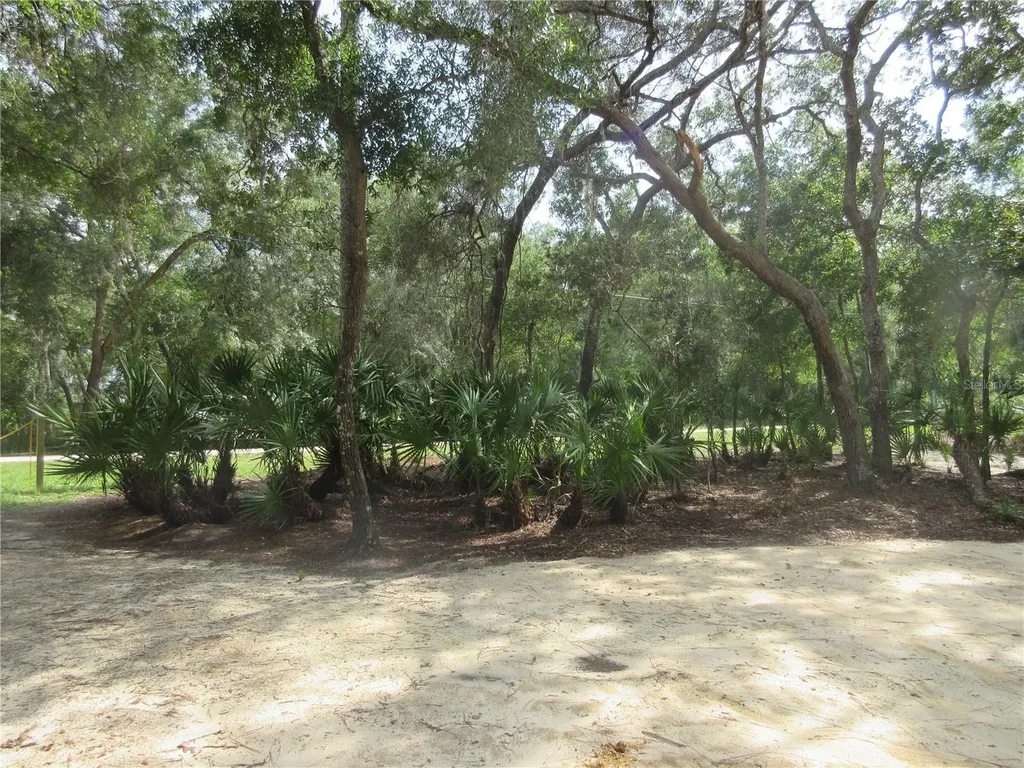 0 SE 10th Street Silver Springs FL 34488