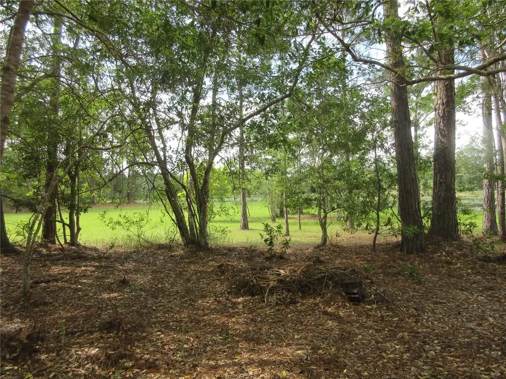 0 SE 10th Street Silver Springs FL 34488