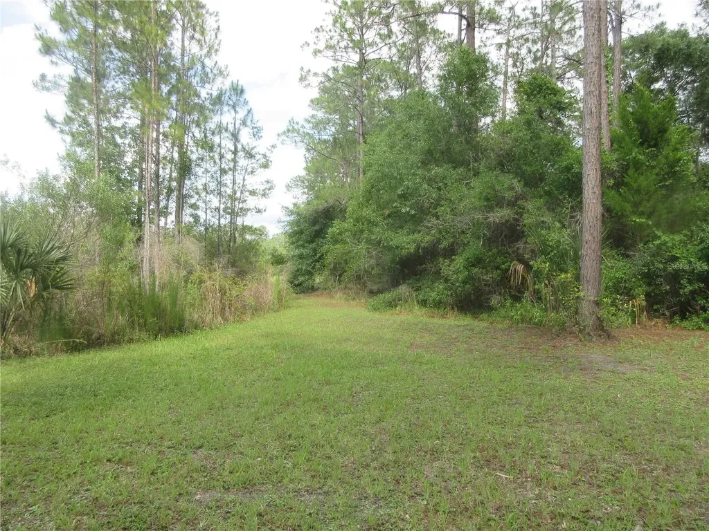 0 SE 10th Street Silver Springs FL 34488