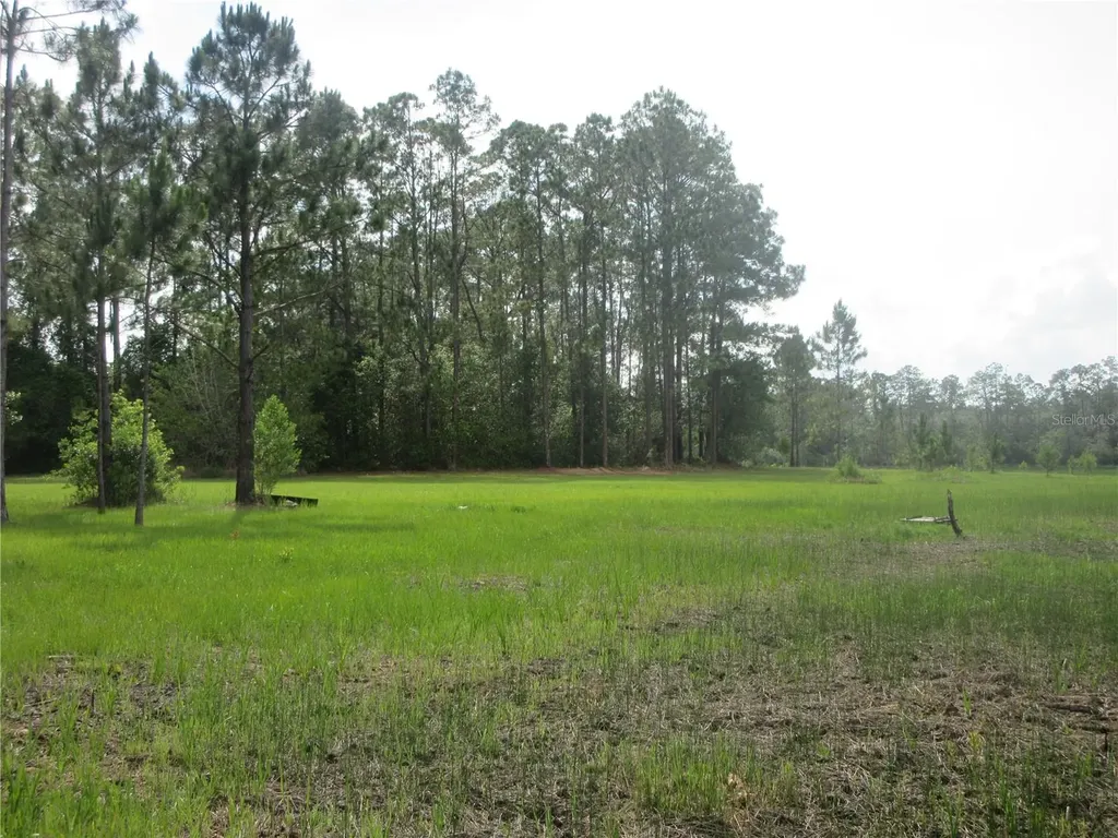 0 SE 10th Street Silver Springs FL 34488
