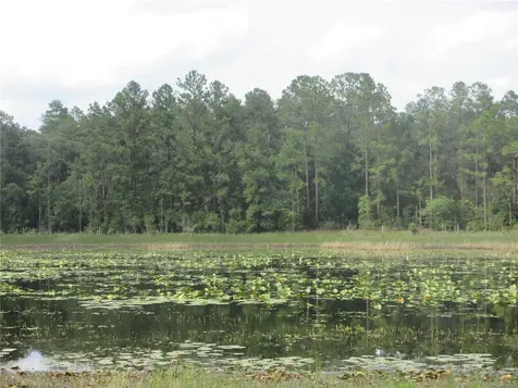 0 SE 10th Street Silver Springs FL 34488