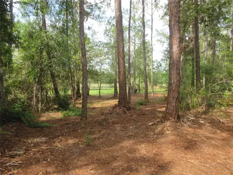 0 SE 10th Street Silver Springs FL 34488