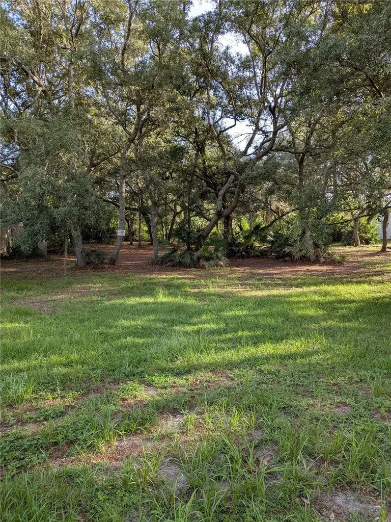 44931 2nd Street Deland FL 32720