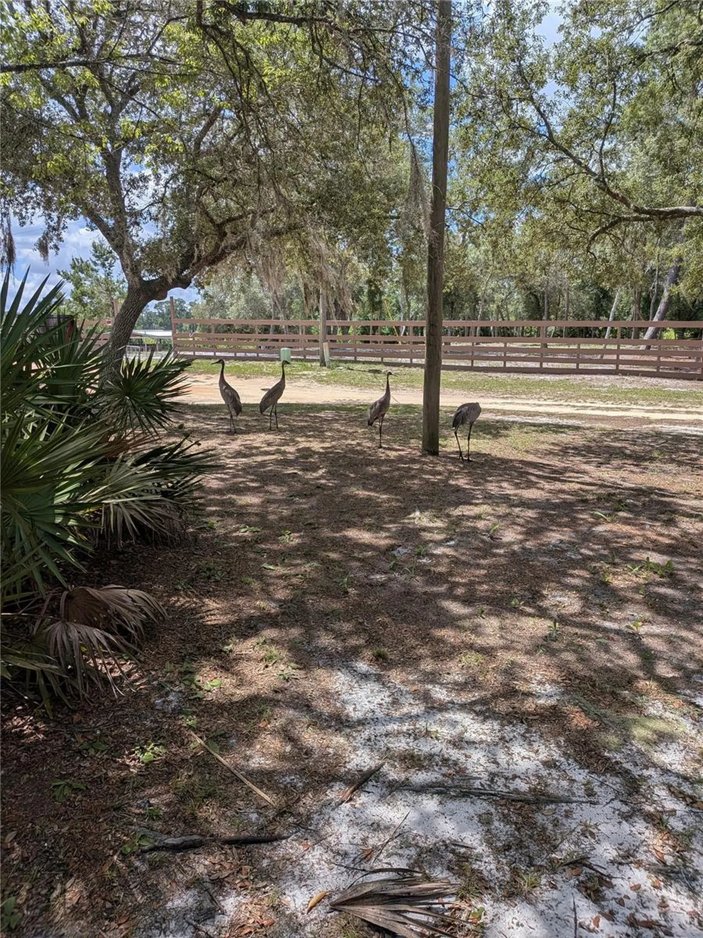 44931 2nd Street Deland FL 32720