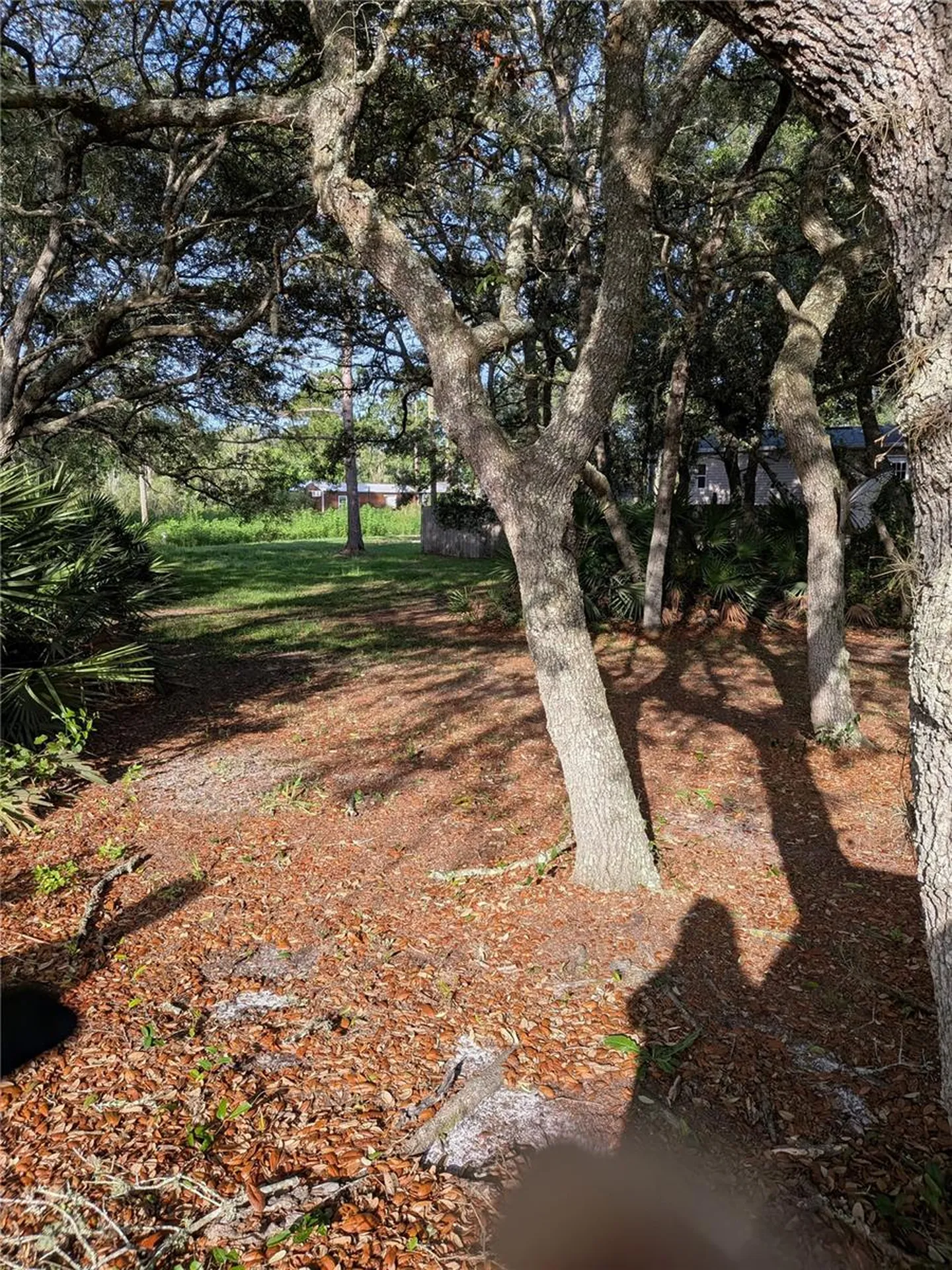 44931 2nd Street Deland FL 32720