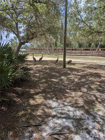 44931 2nd Street Deland FL 32720