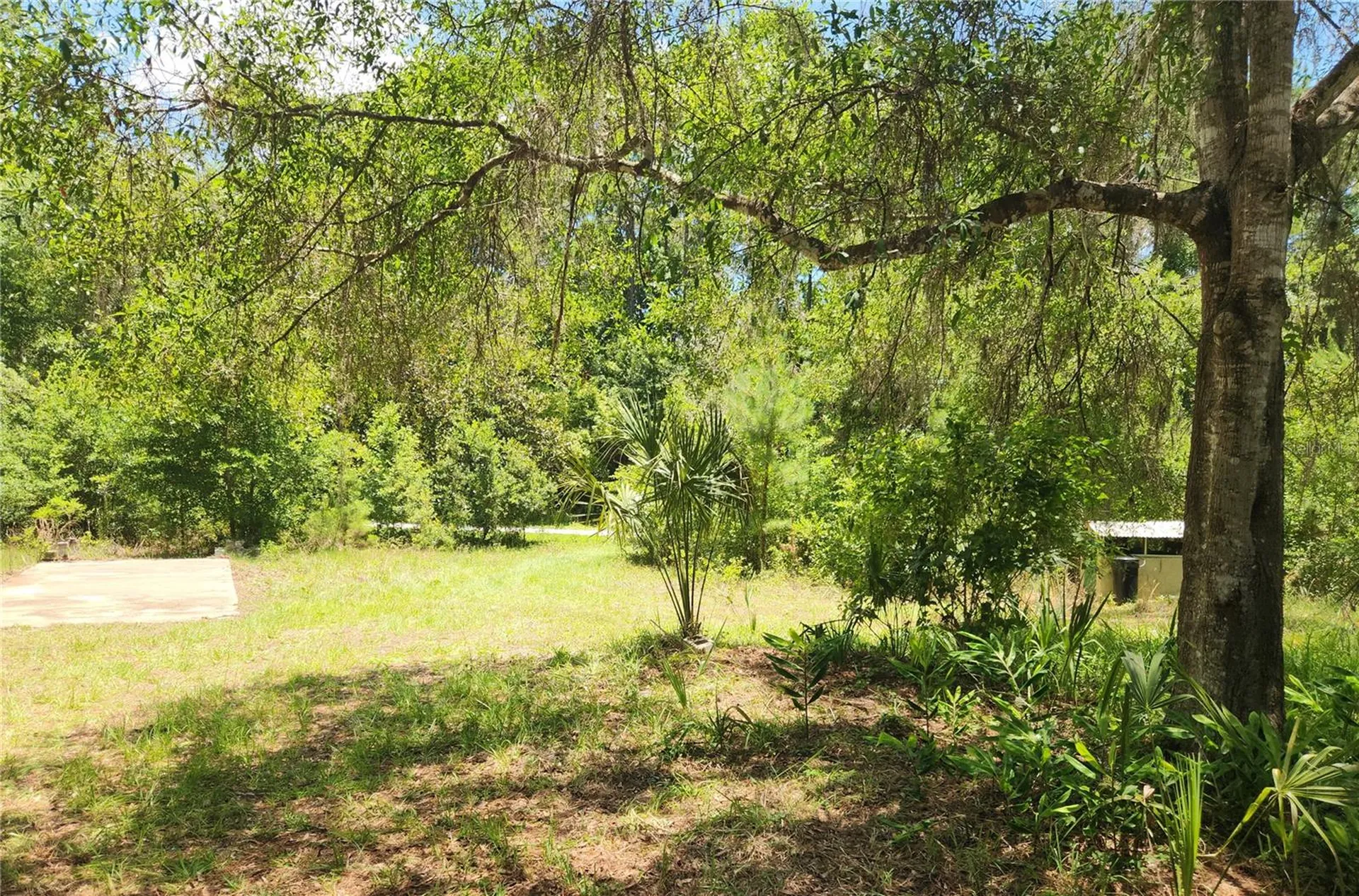 22835 SW 117th Place Road Dunnellon FL 34431
