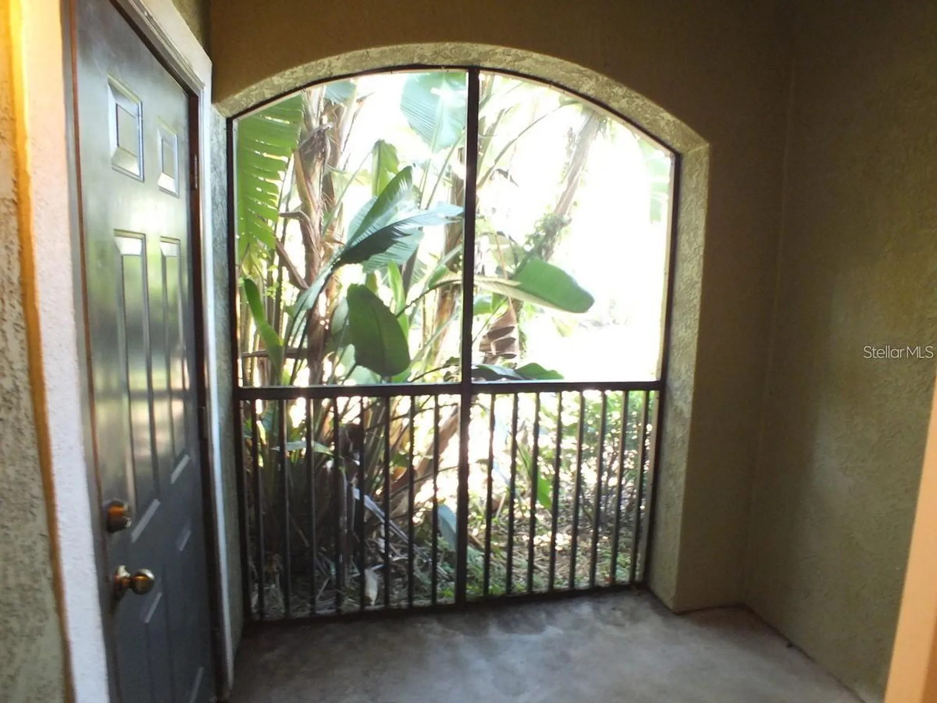 10106 Courtney Oaks Circle Tampa FL 33619