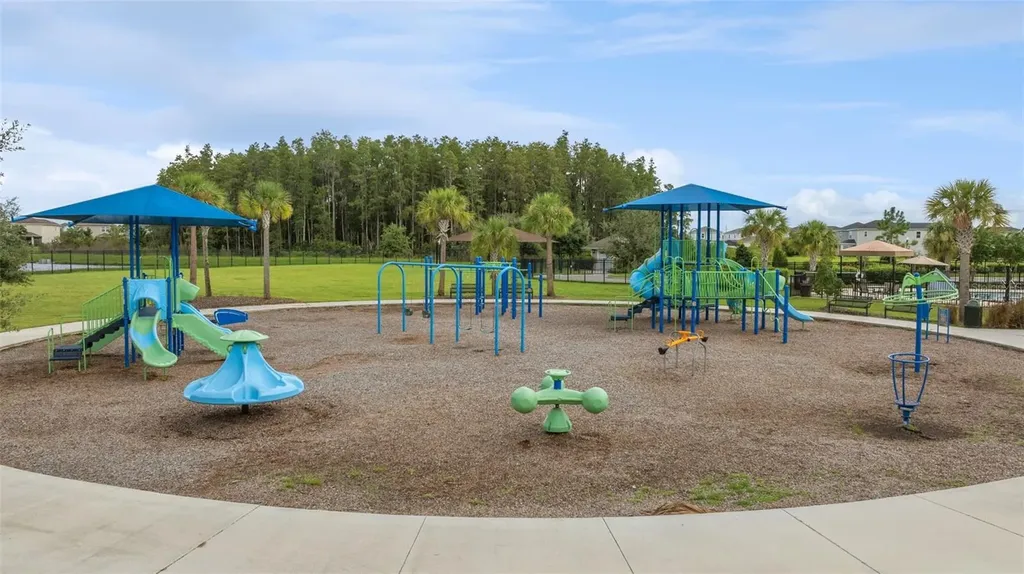 34315 Radley Way Wesley Chapel FL 33545