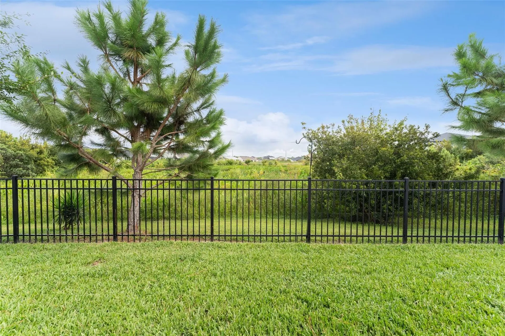34315 Radley Way Wesley Chapel FL 33545