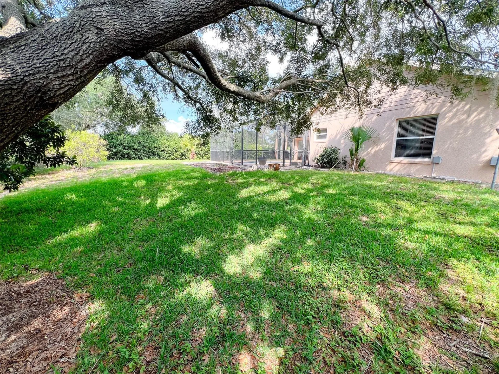 12626 Douglas Fir Court Clermont FL 34711