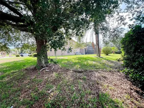 12626 Douglas Fir Court Clermont FL 34711
